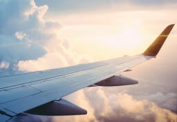 flight